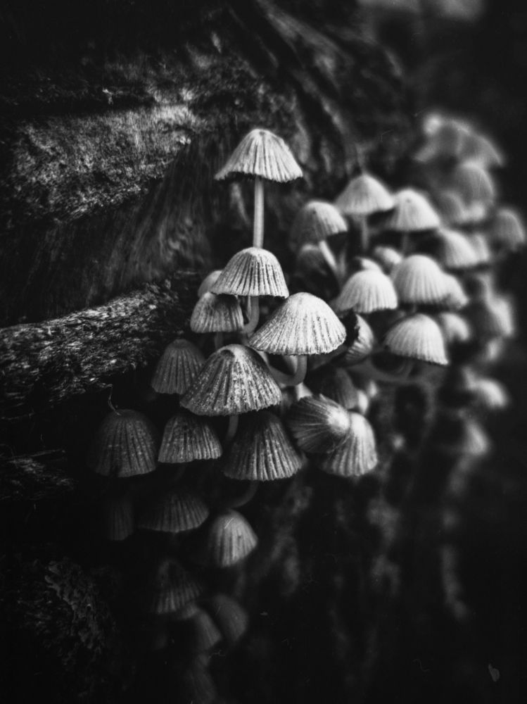 Photograph by Владимир Алейников