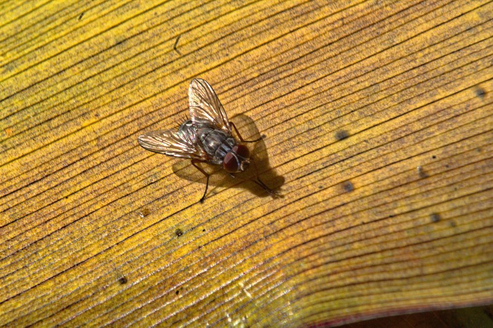 Photograph by Guillermo Topp