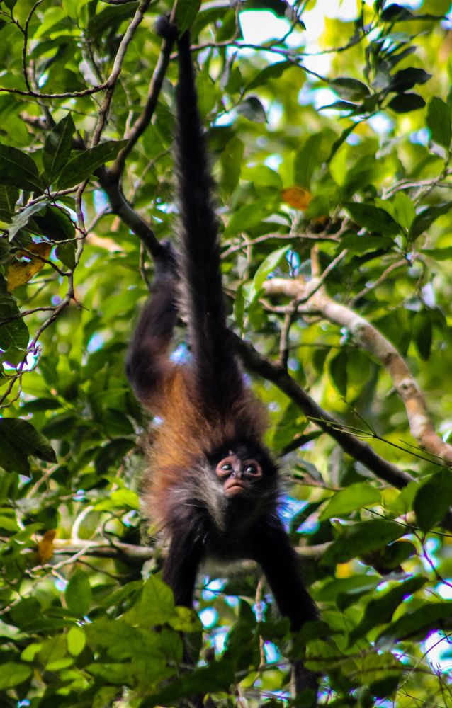 Photograph by Daniel Maraña