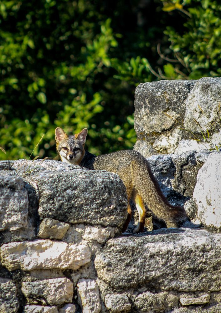 Photograph by Daniel Maraña