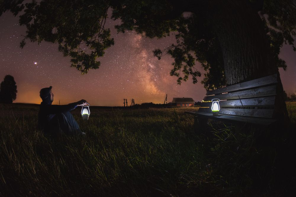 У старого дуба