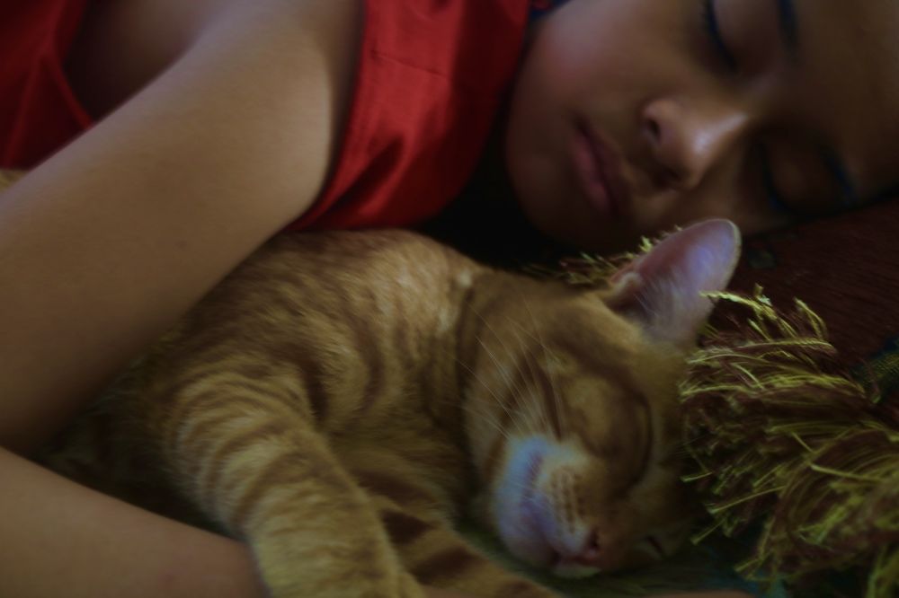 Photograph by Deasy Junita Dhani Hidayana