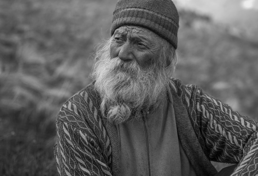 Портрет отшельника