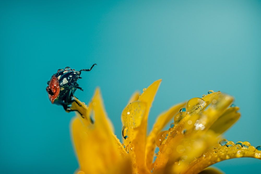 Photograph by Марина Беликова