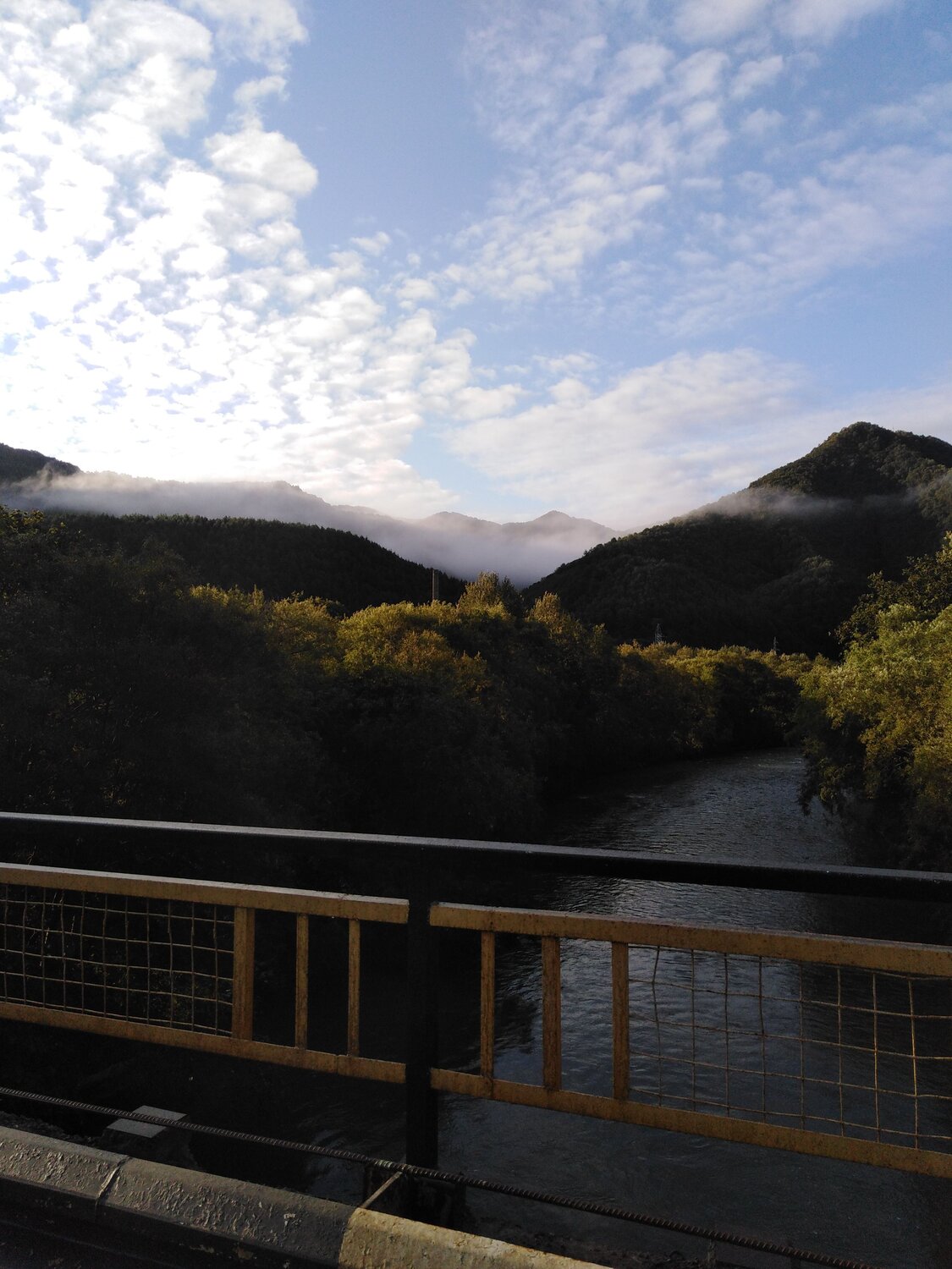 Photo #6460291