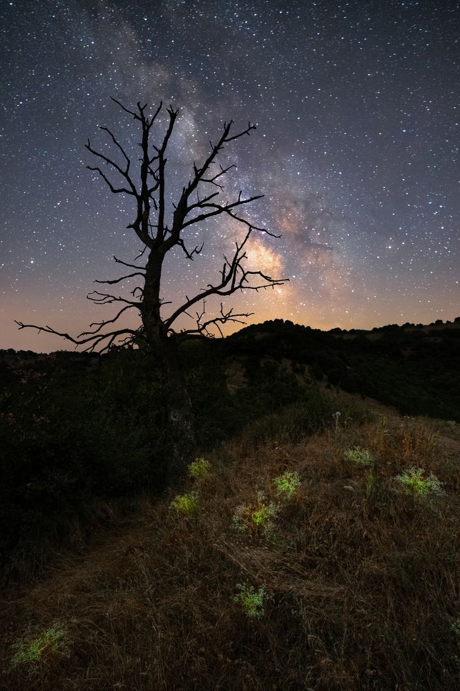 Млечный путь