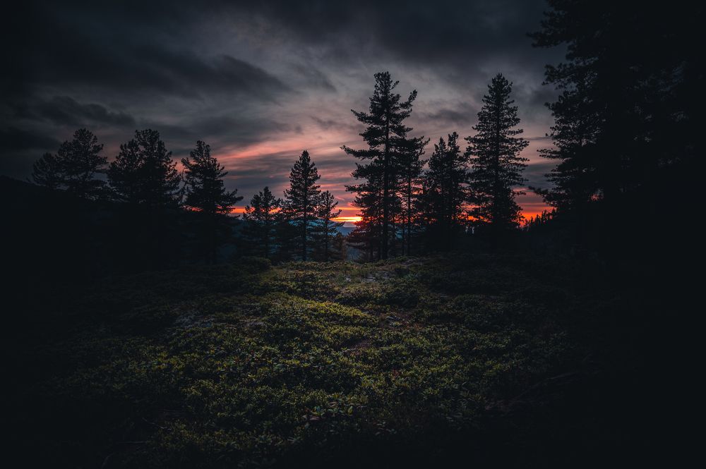 Photograph by Алексей