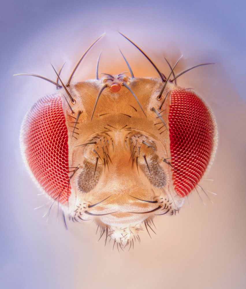 Photograph by Tomas Hora