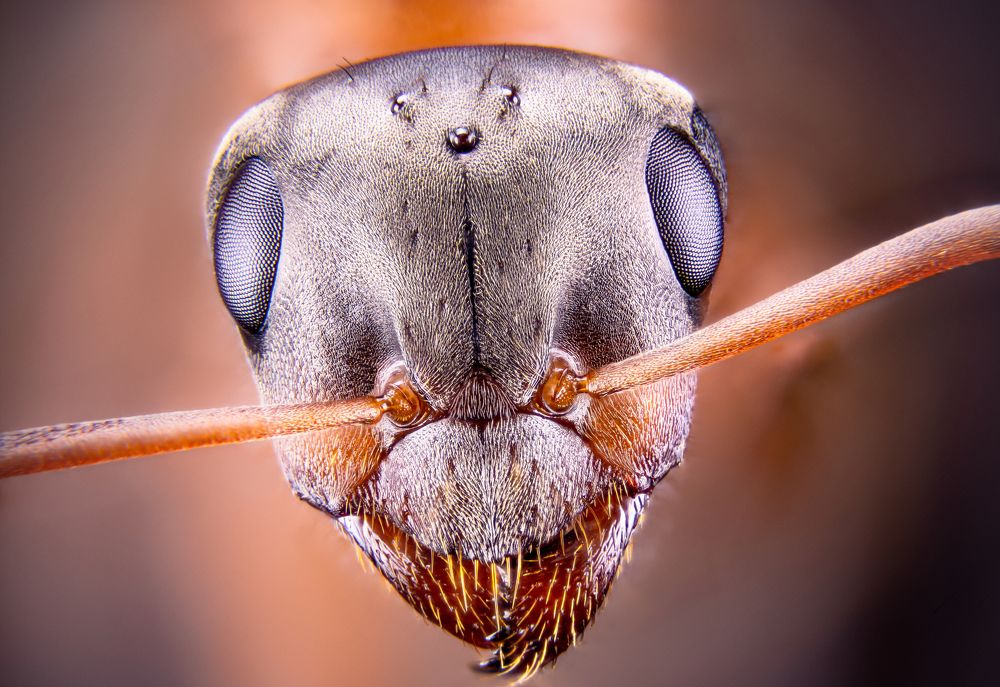 Photograph by Tomas Hora