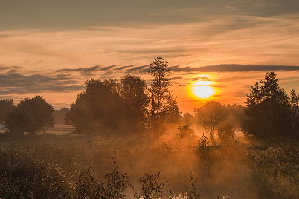 Photograph by Monika 21