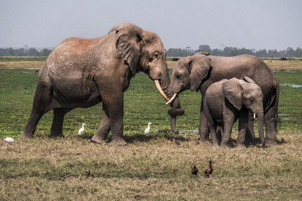 Photograph by Victor Belokrinitski