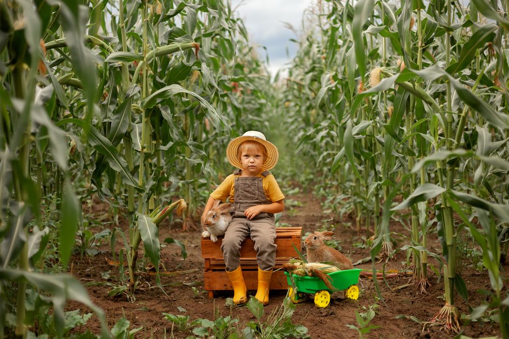 Photograph by Екатерина Истомина