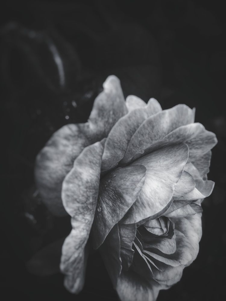 Photograph by Максим