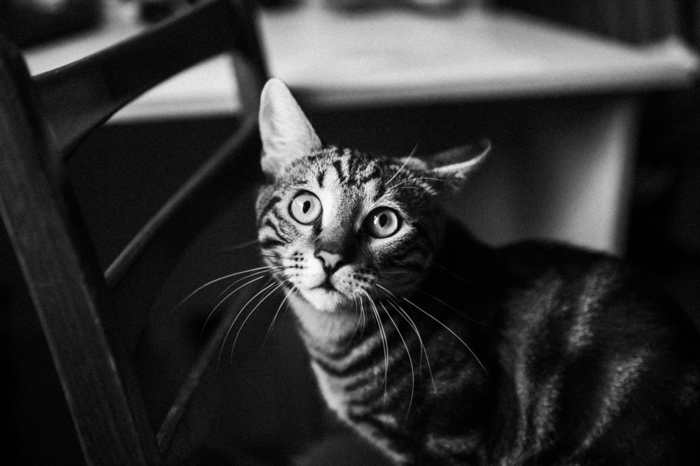 Photograph by Дарья Самойлова