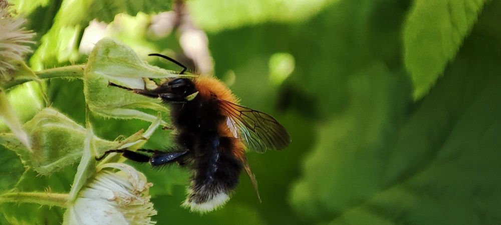 Photograph by Анна Якимова