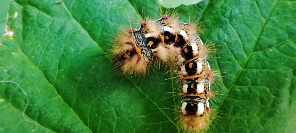 Photograph by Анна Якимова