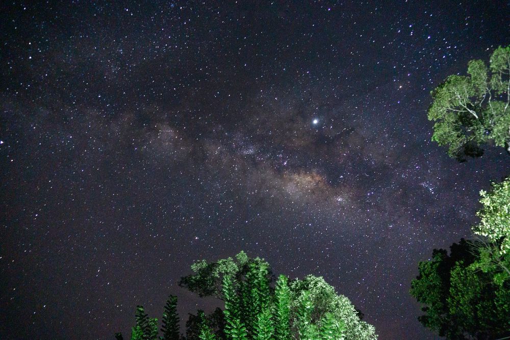 Photograph by Darmarathna Neranjan