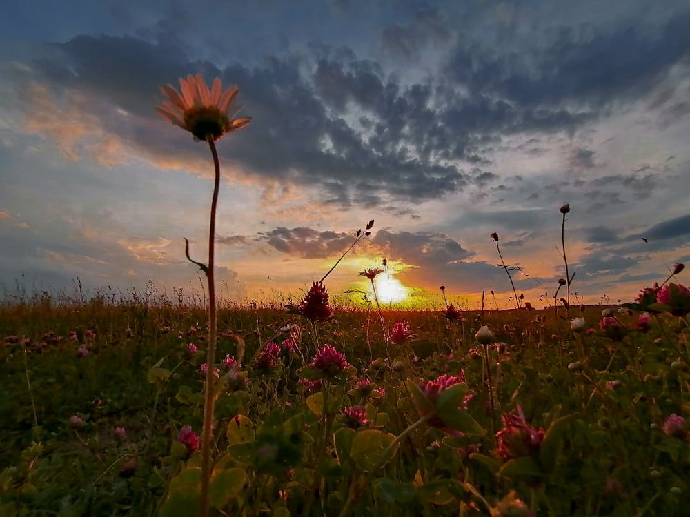 Photograph by Наталья Урусова