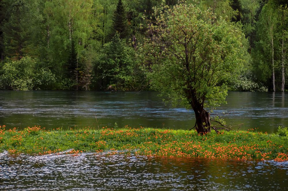 Photograph by Любовь Фурс