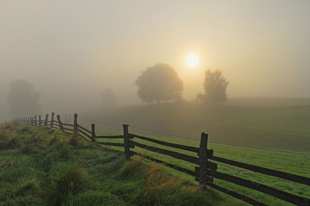 Фотография автора Michaela Vinterova