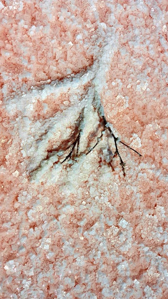 Photograph by Роман Сычев