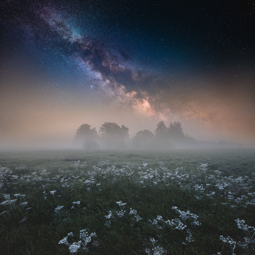 Photograph by Jānis Paļulis