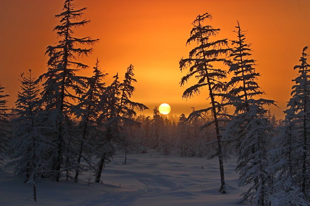 Окончание Полярной ночи