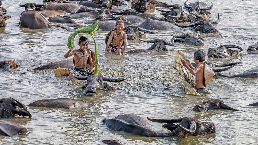 Фотография автора Pyii Zone Aung