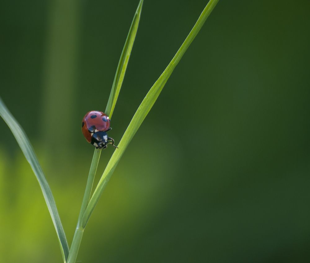 Photograph by Moulay Ahmed KASSI