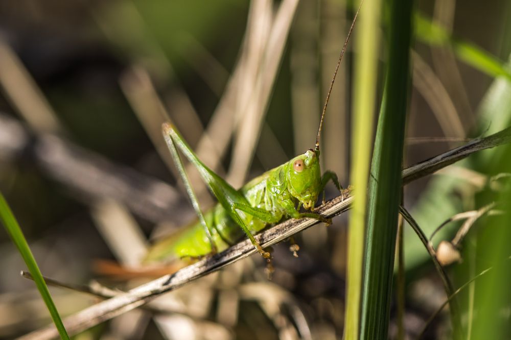 Photograph by Екатерина Бочарова
