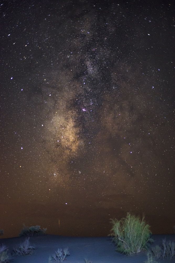 Photograph by Reza Mohammadi