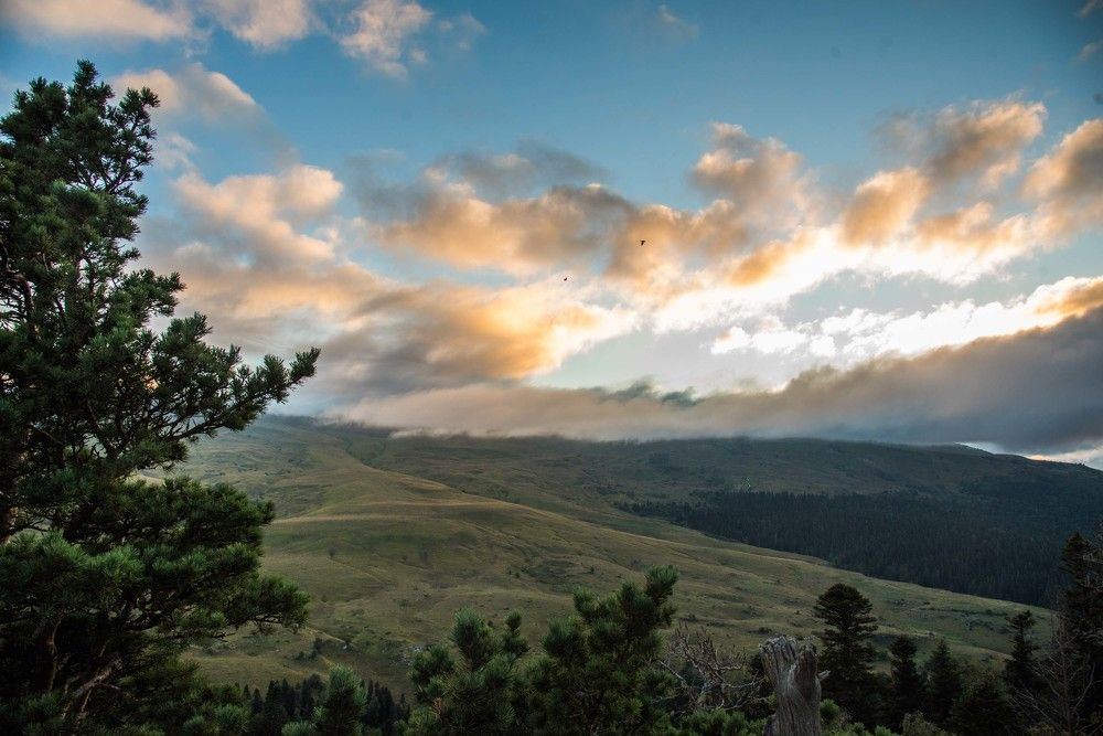 Photograph by Михаил Кравченко