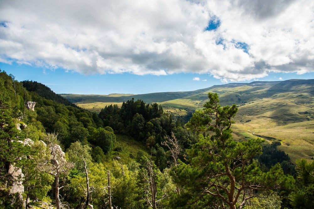 Photograph by Михаил Кравченко