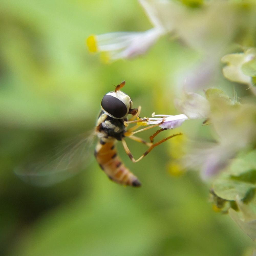 Photograph by Dhaval Solanki