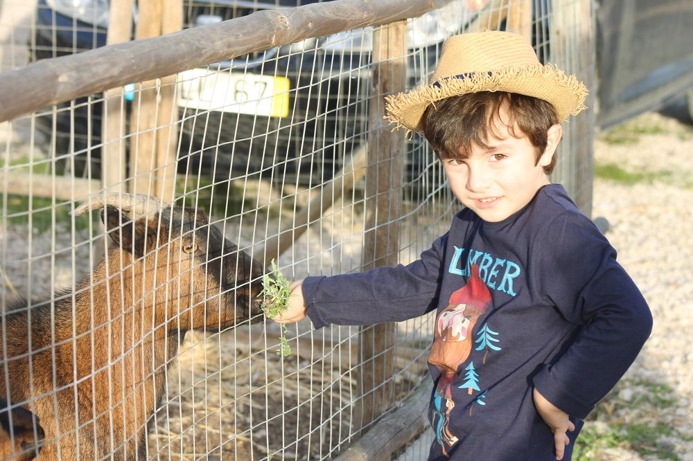 Photograph by Francisco Ferreira