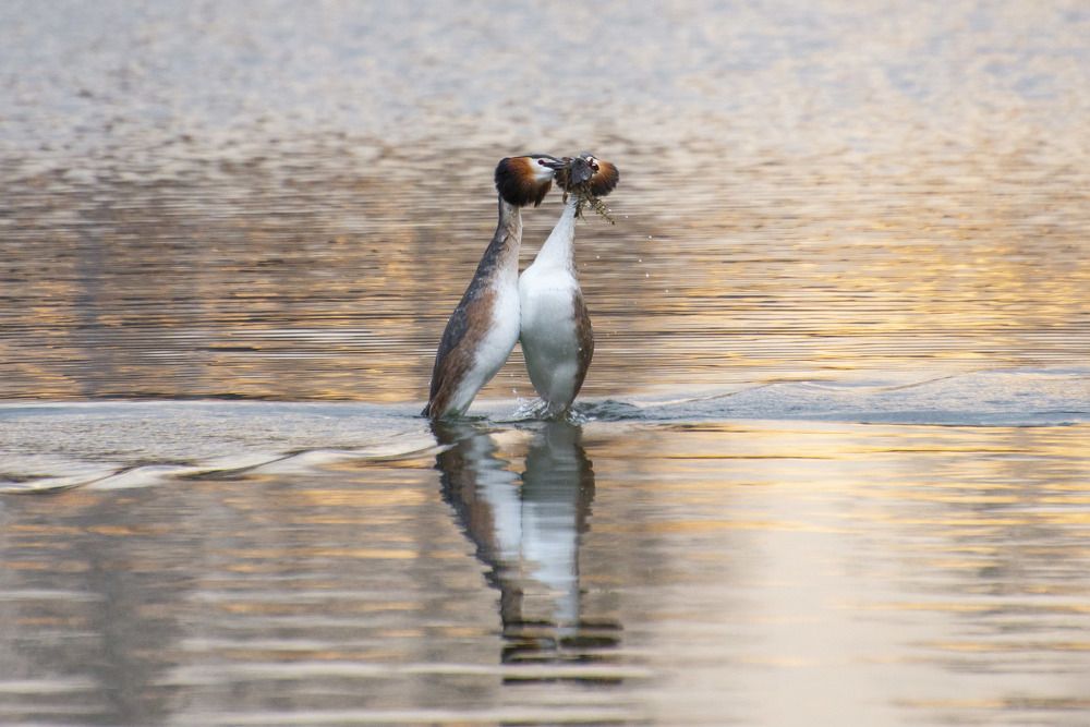 Photograph by Мария Долбич