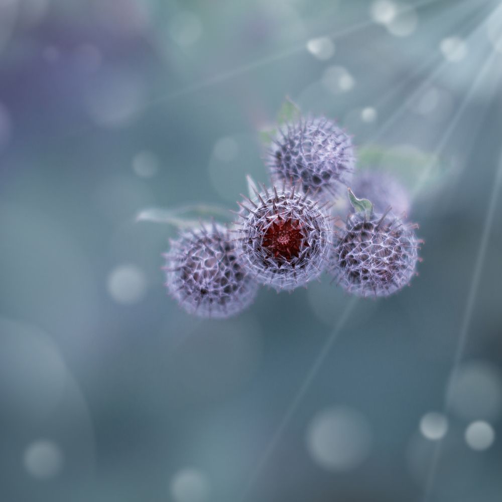 Photograph by Nikolina Georgieva