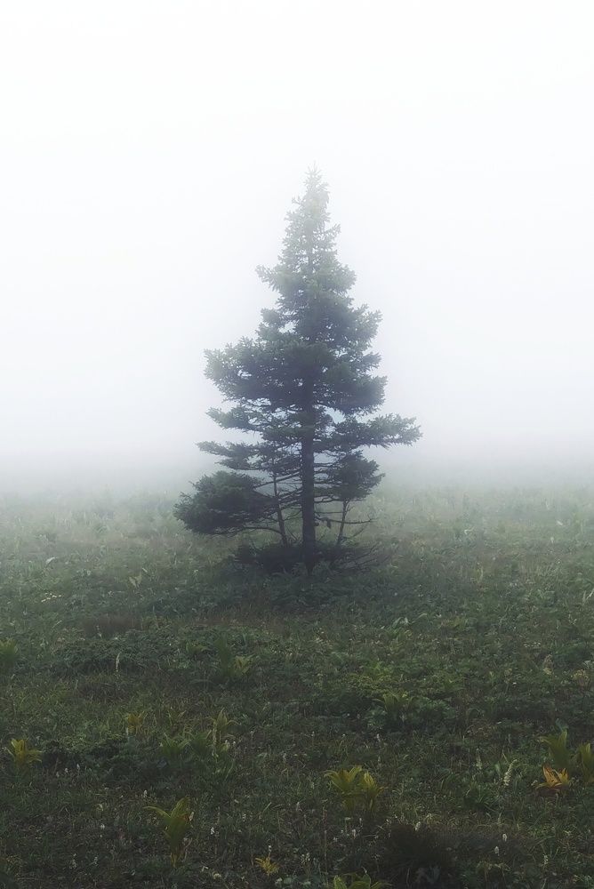 Photo #6461512