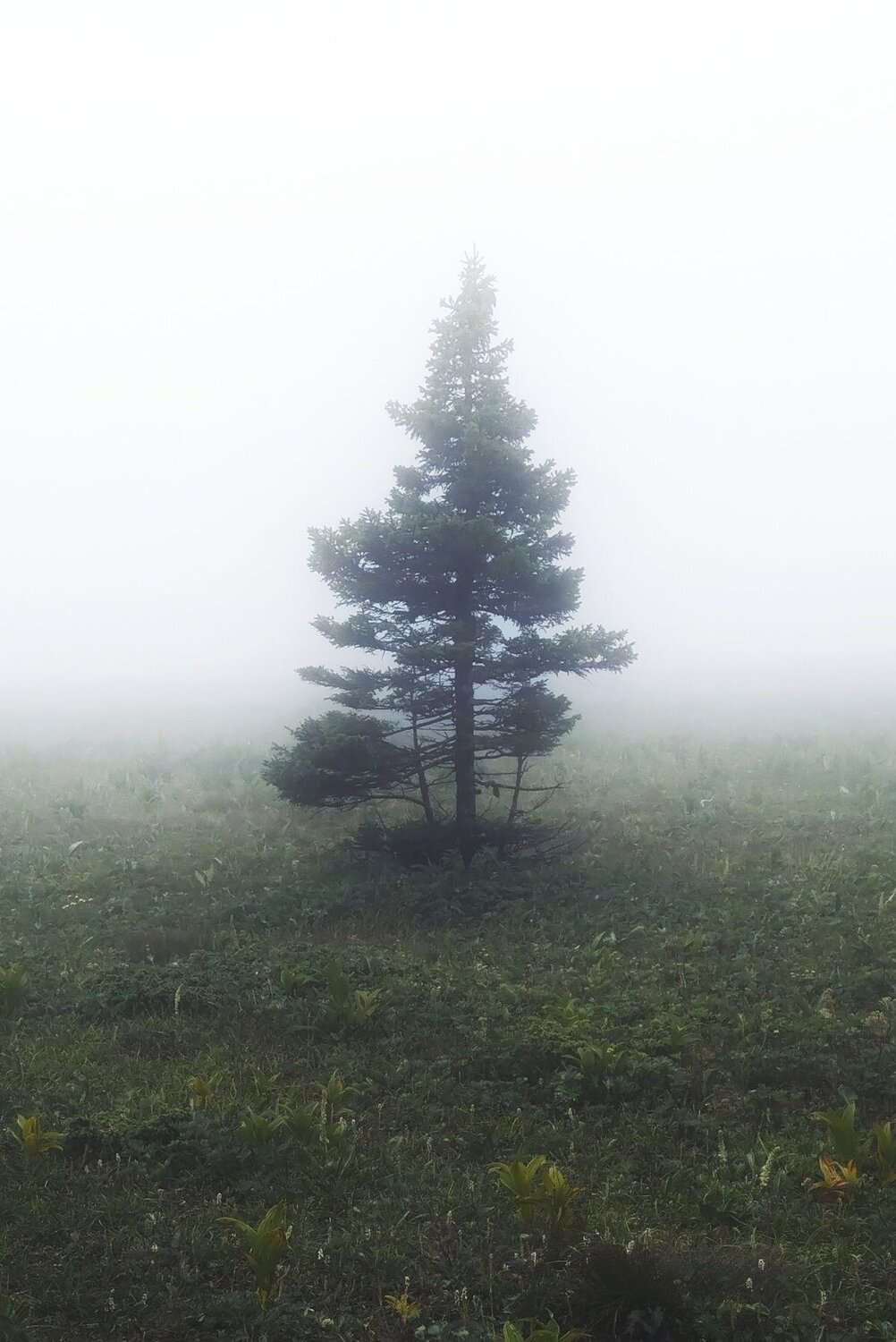 Photo #6461512