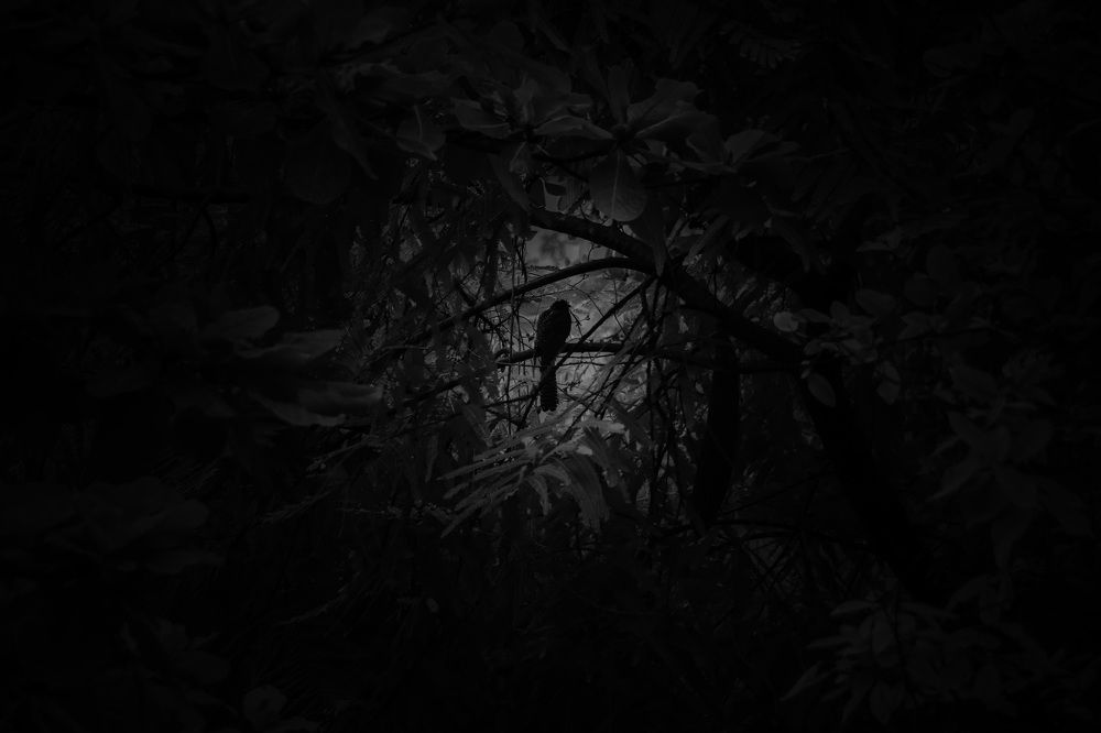 NIGHT IS DARK STILL SO EAUTIFUL