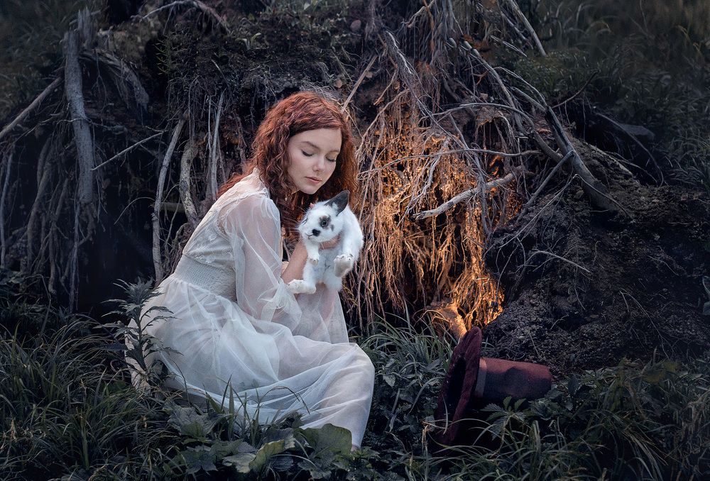 Фотография автора Елена Янченко