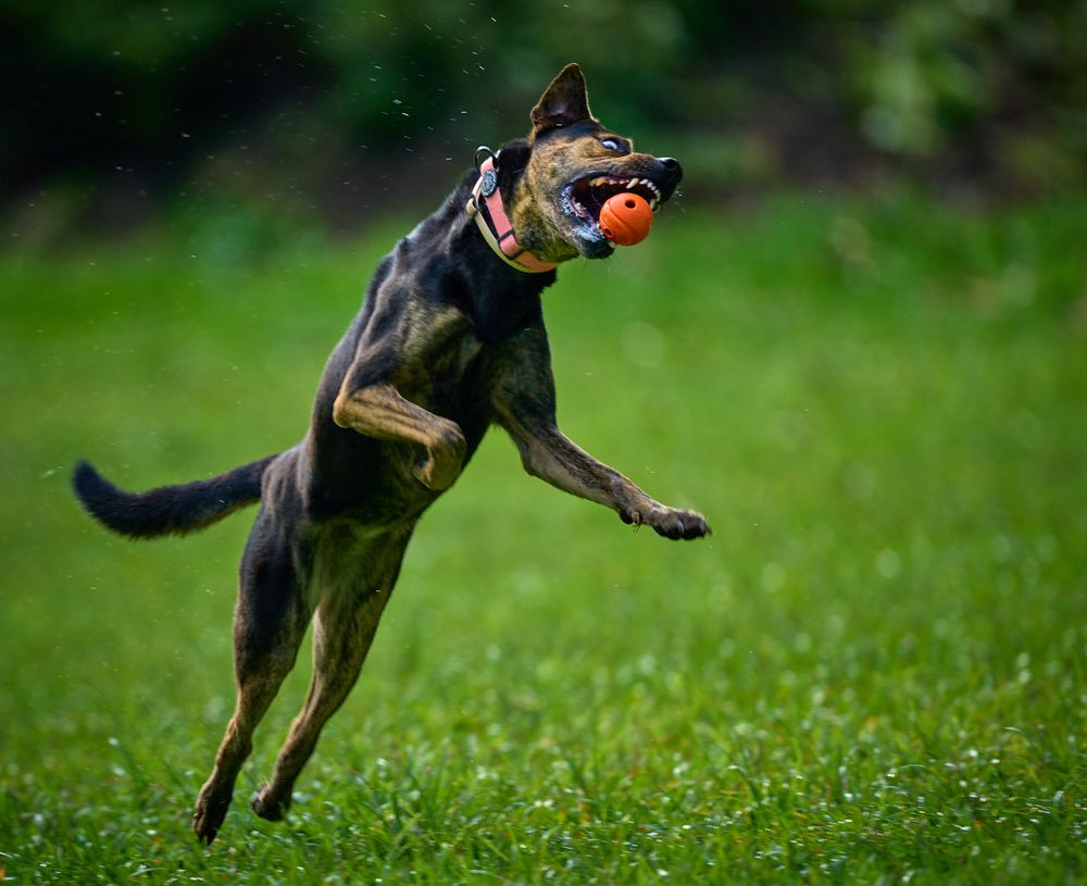 Фотография автора Maurice Leung