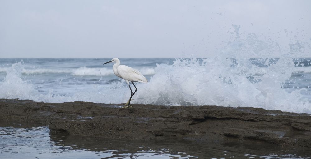 Photograph by никита риер