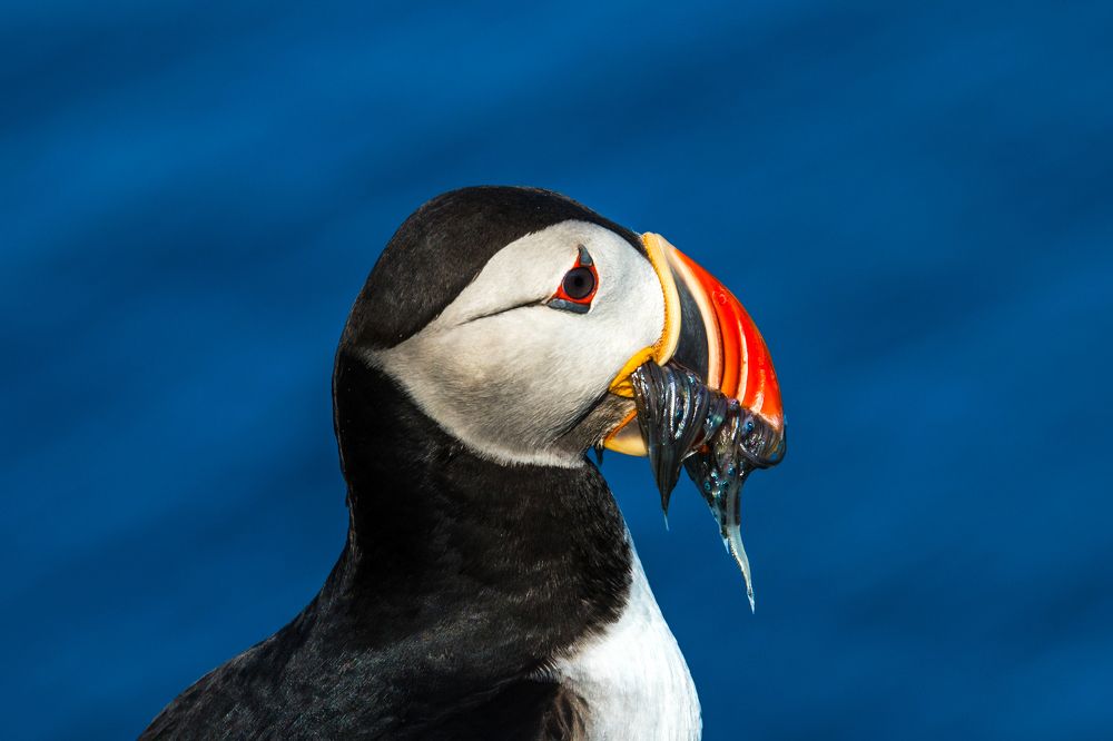 Photograph by Agnieszka Wieczorek