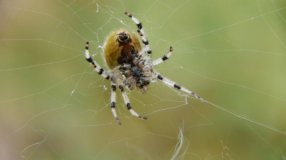 Photograph by Алексей Чернов