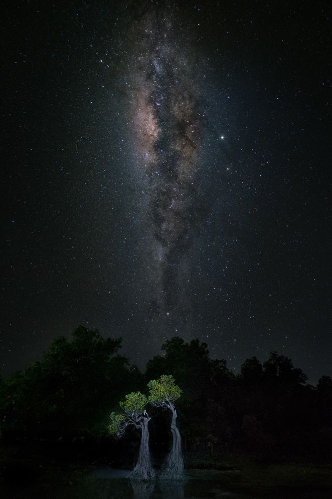 Walakiri Milkway II