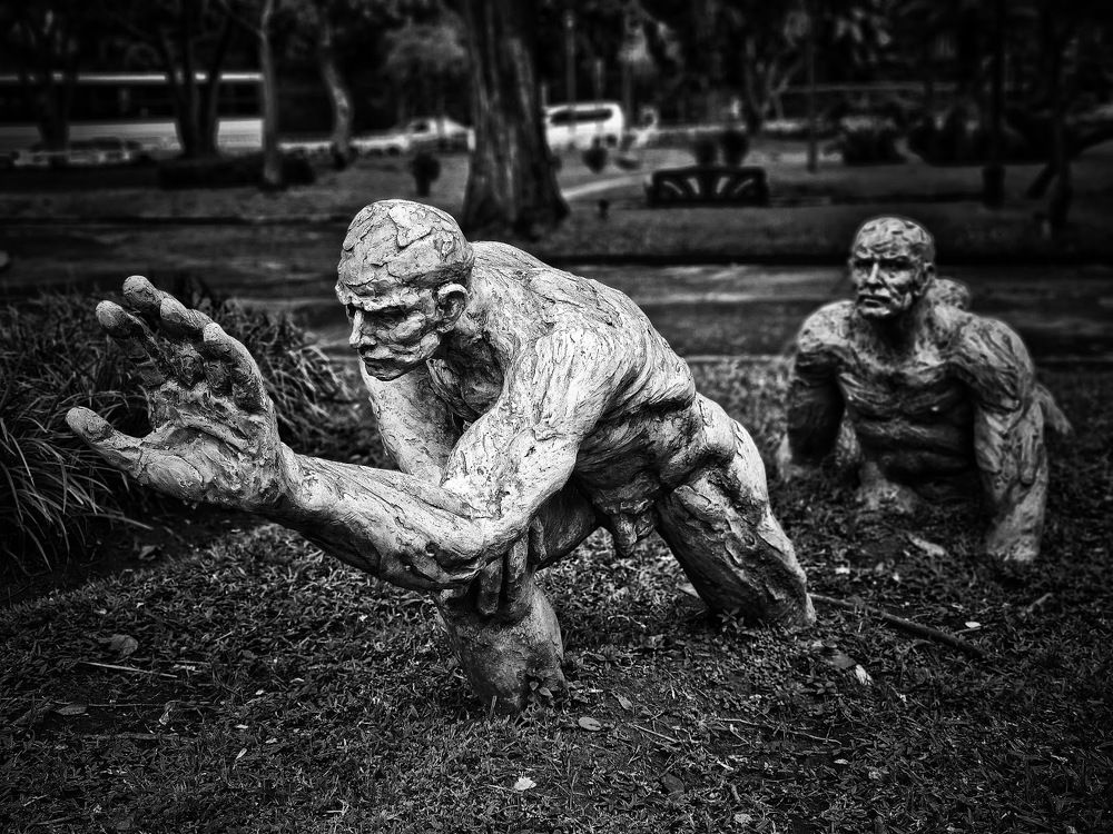 Photograph by Mauricio Mora Flores