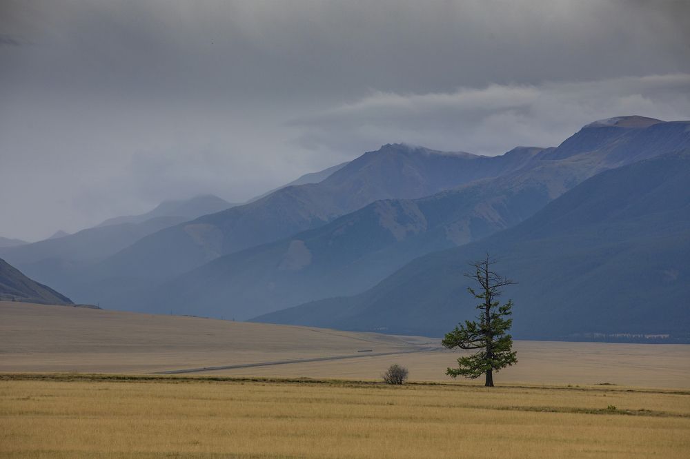 Photograph by Дмитрий Юдин