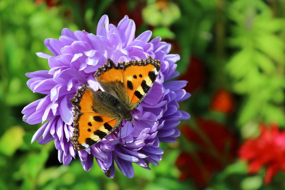 Photograph by Нина Титенкова