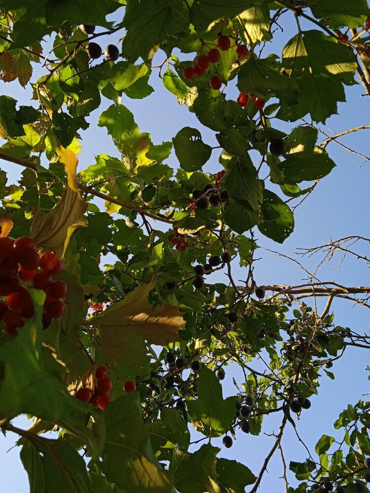 Photograph by Анна Белова